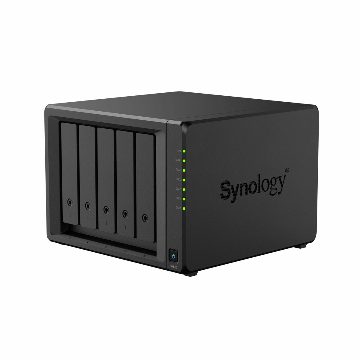 Nätlagringsenhet NAS Synology DX525 Svart - 2
