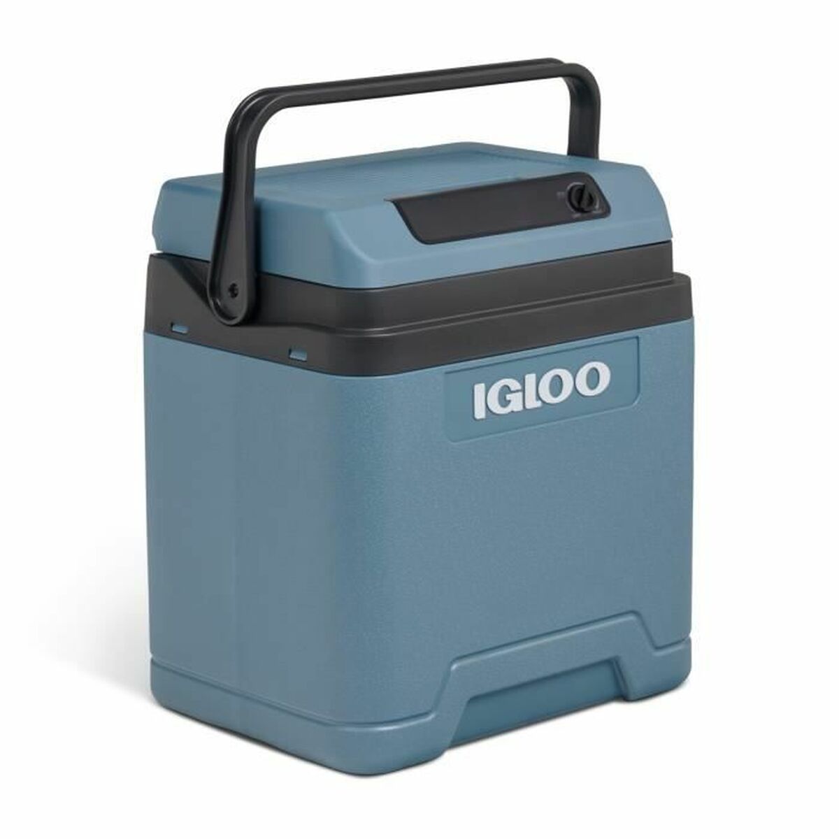 Bärbar kyl Igloo71 24 L Plast
