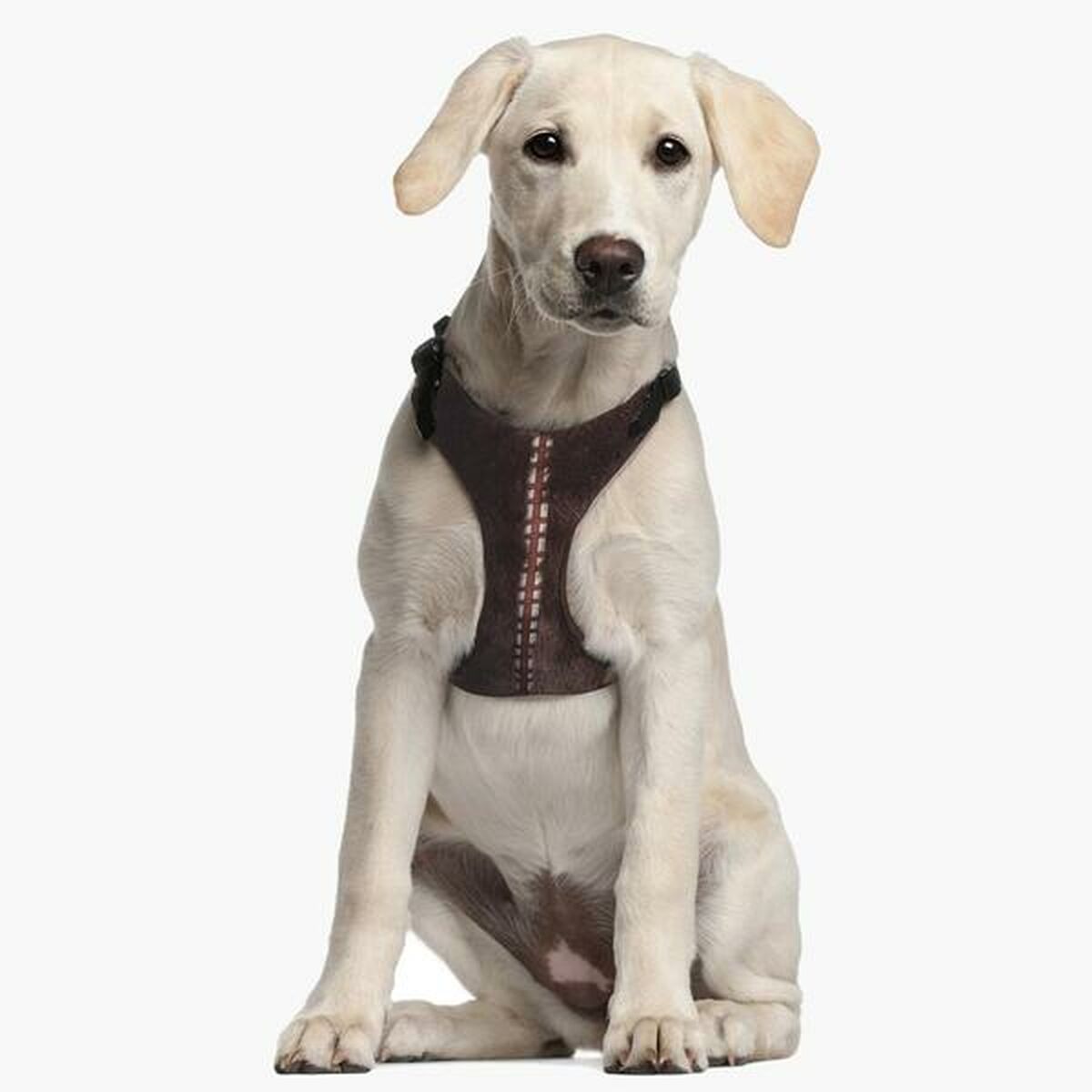 Hundsele Star Wars Brun M/L - 3