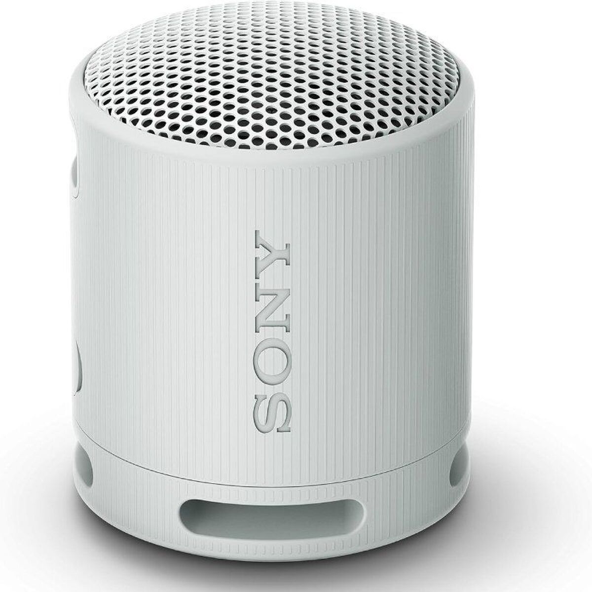 Bärbar Bluetooth Högtalare Sony XB100 Grå