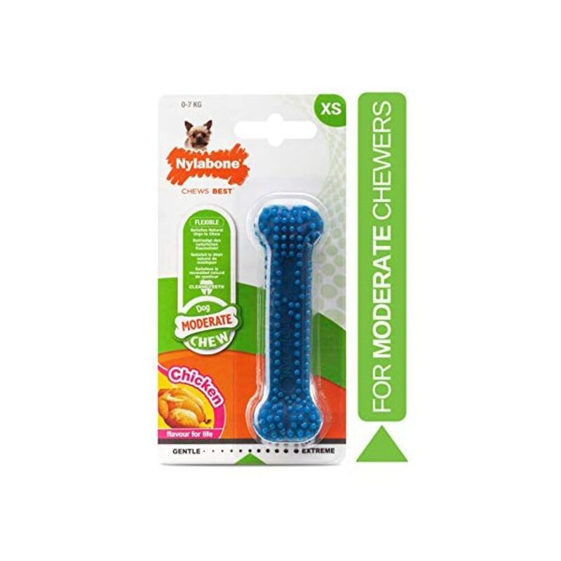 Hundleksak Nylabone Liten Blå Naturell Kyckling Termoplast XS-storlek - 2