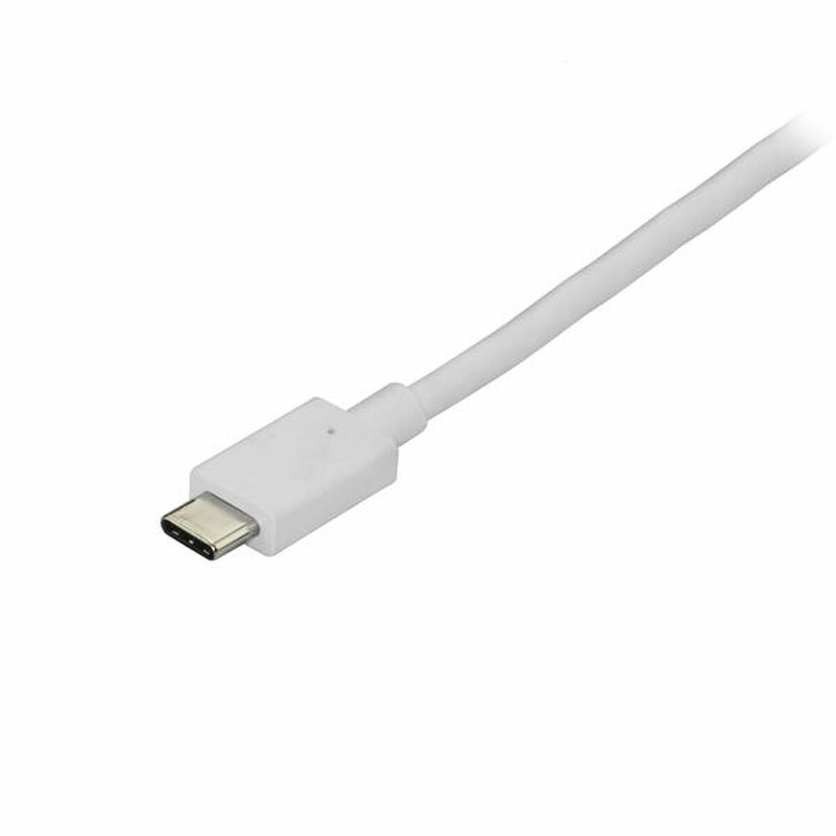 USB C till DisplayPort Adapter Startech CDP2DPMM6W 1,8 m Vit - 3