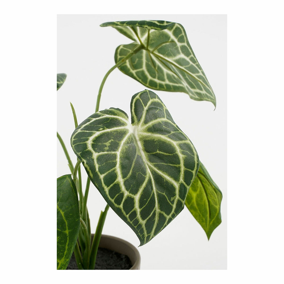 Dekorativ växt Mica Decorations Caladium Ø 21 x 28 cm Konstgjord - 2