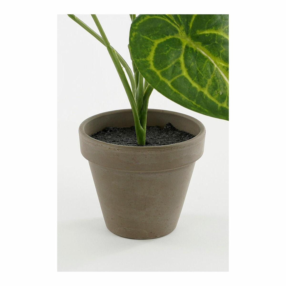 Dekorativ växt Mica Decorations Caladium Ø 21 x 28 cm Konstgjord - 4