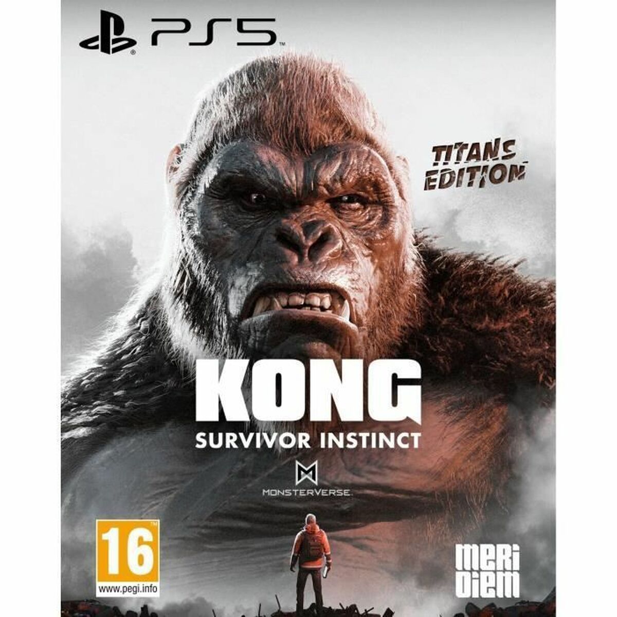 PlayStation 5 Videospel Microids