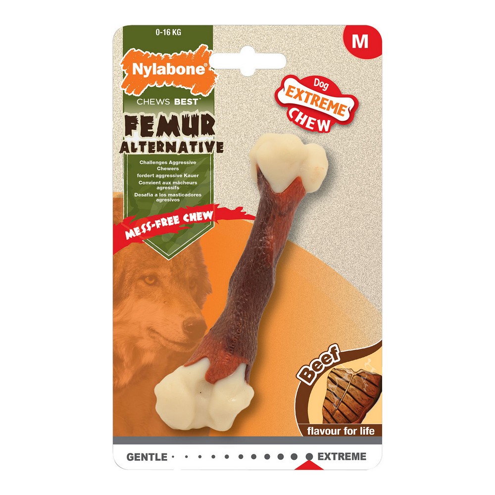 Tuggleksak för hundar Nylabone Extreme Chew Femur Kalvkött Kött 12