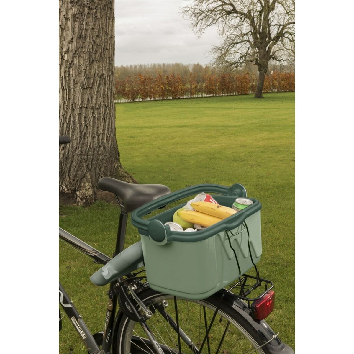 Bärbar kyl Curver 261196 Grön 10 L Plast (1 Delar) - 2