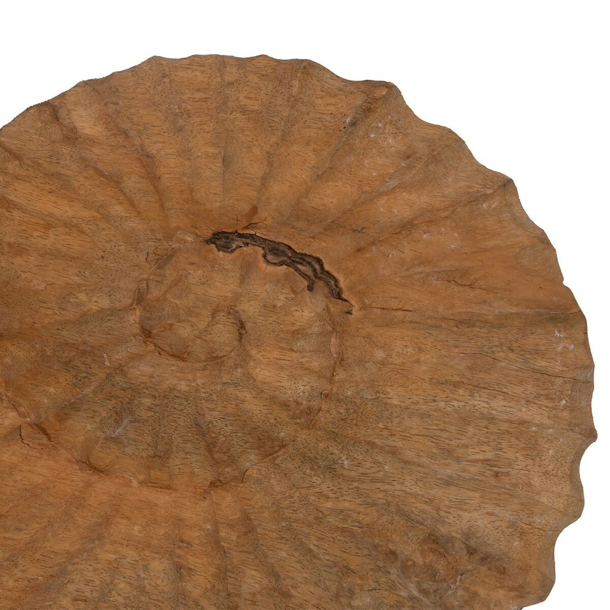 Prydnadsfigur Beige Snigel 49,5 x 9 x 53,5 cm - 4