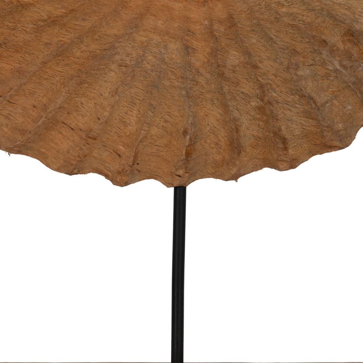 Prydnadsfigur Beige Snigel 49,5 x 9 x 53,5 cm - 6