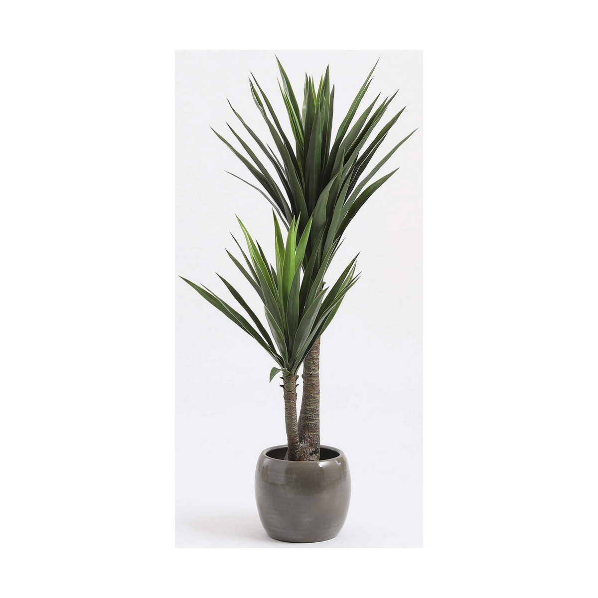Dekorativ växt Mica Decorations Yucca (120 x 60 cm) - 4