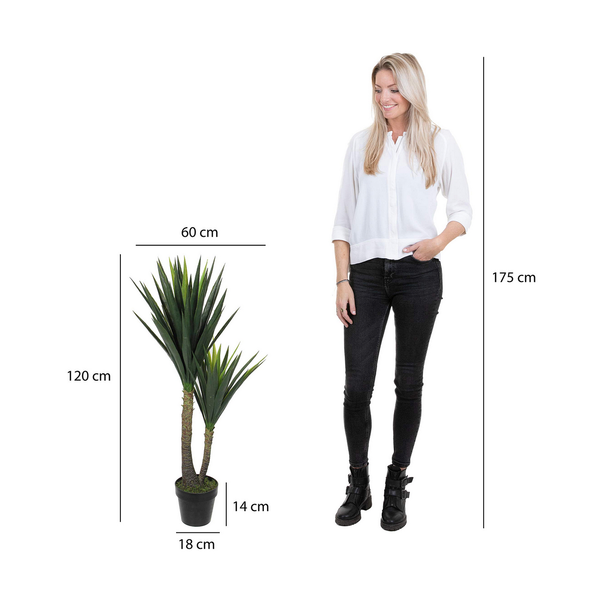 Dekorativ växt Mica Decorations Yucca (120 x 60 cm) - 3