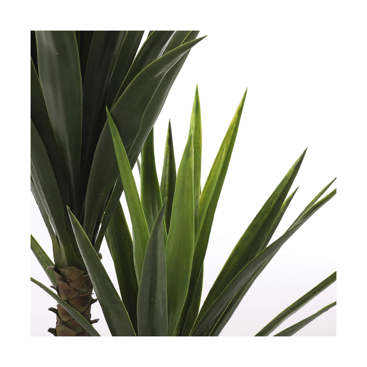 Dekorativ växt Mica Decorations Yucca (120 x 60 cm) - 7