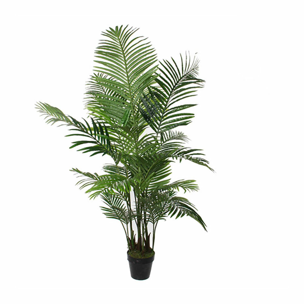 Dekorativ växt Mica Decorations Palmträd 80 x 160 cm - 4