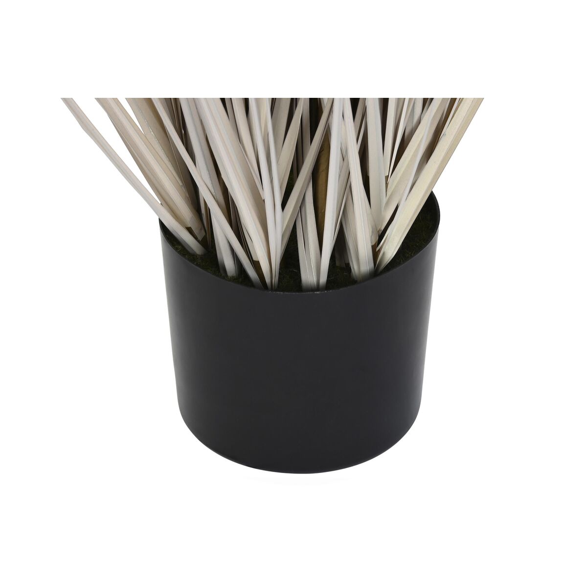 Dekorativ växt DKD Home Decor Tofs (45 x 45 x 150 cm) - 2
