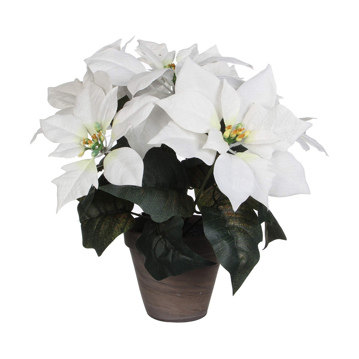 Dekorativ växt Vit PVC (27 X 35 CM)