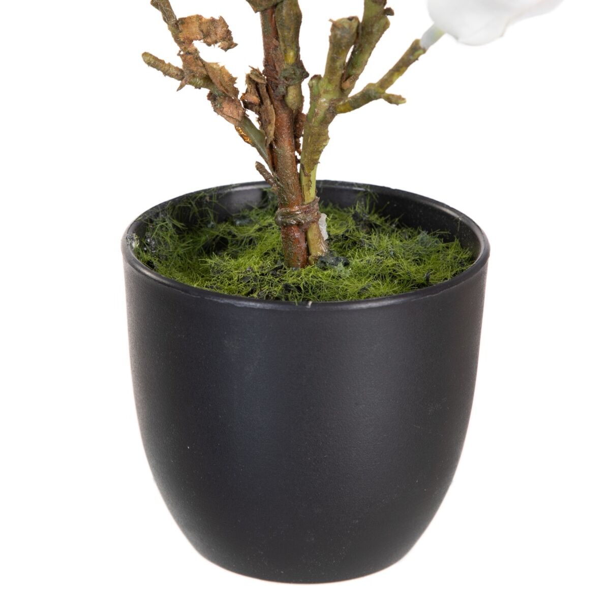 Dekorativ växt Polyester Polyetylen Järn 22 x 22 x 38 cm Magnolia - 3