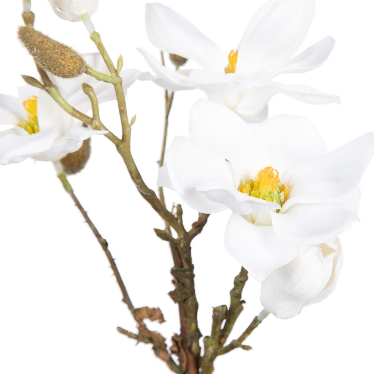 Dekorativ växt Polyester Polyetylen Järn 22 x 22 x 38 cm Magnolia - 2