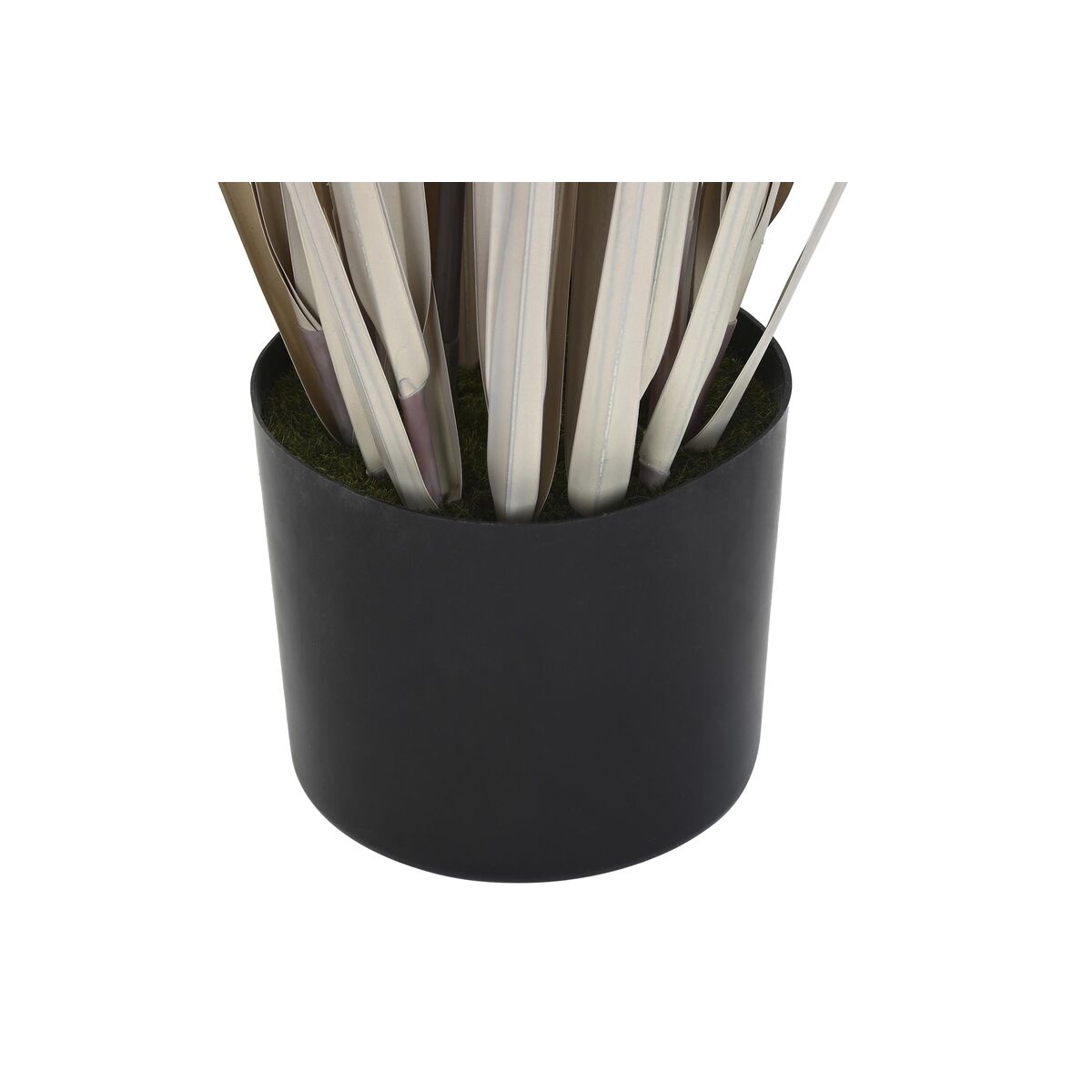 Dekorativ växt DKD Home Decor Rusar (45 x 45 x 150 cm) - 2