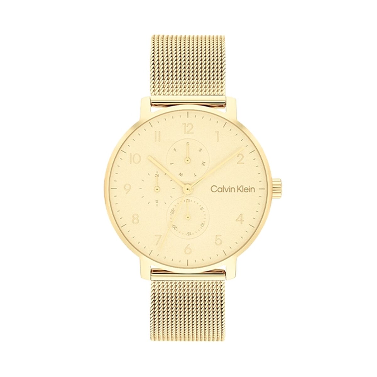 Herrklocka Calvin Klein 25200403 Gyllene