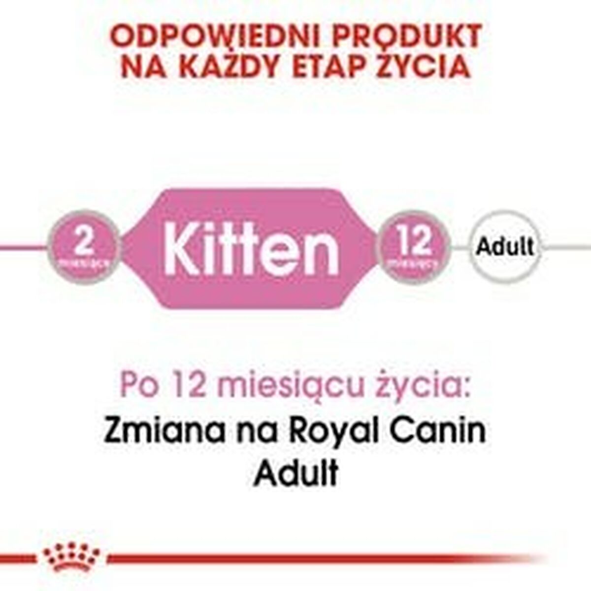 Kattmat Royal Canin Kitten Jelly Kyckling 85 g - 5