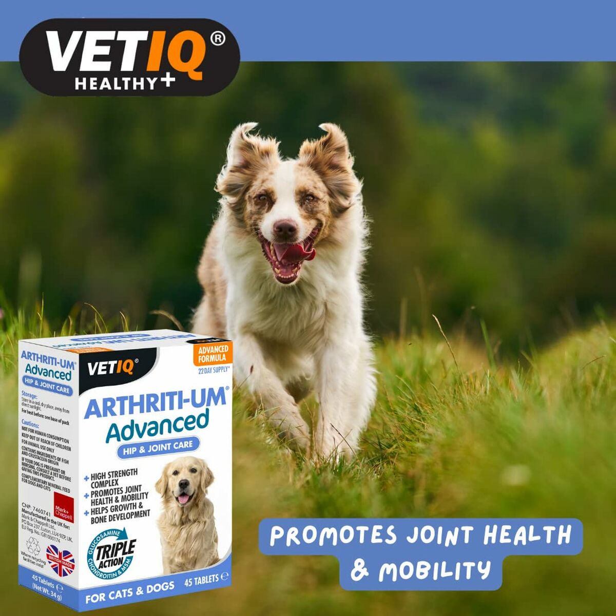 Kosttillskott och vitaminer Mark & Chappell VETIQ ARTHRITI-UM ADVANCED - 4