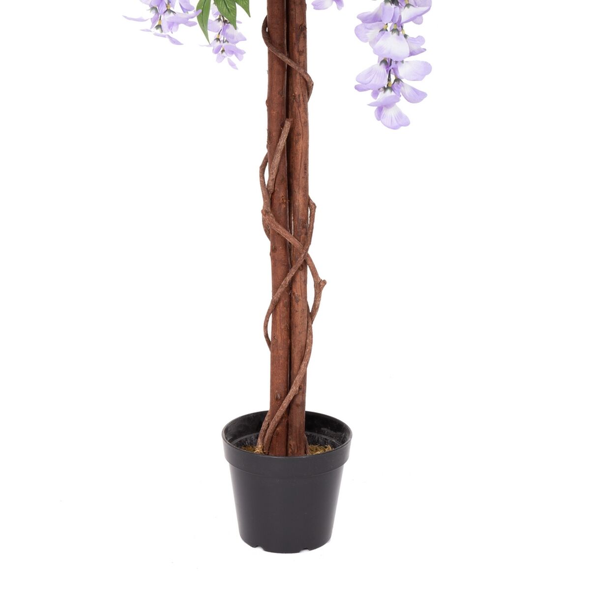 Dekorativ växt Cement Tyg 150 cm - 6
