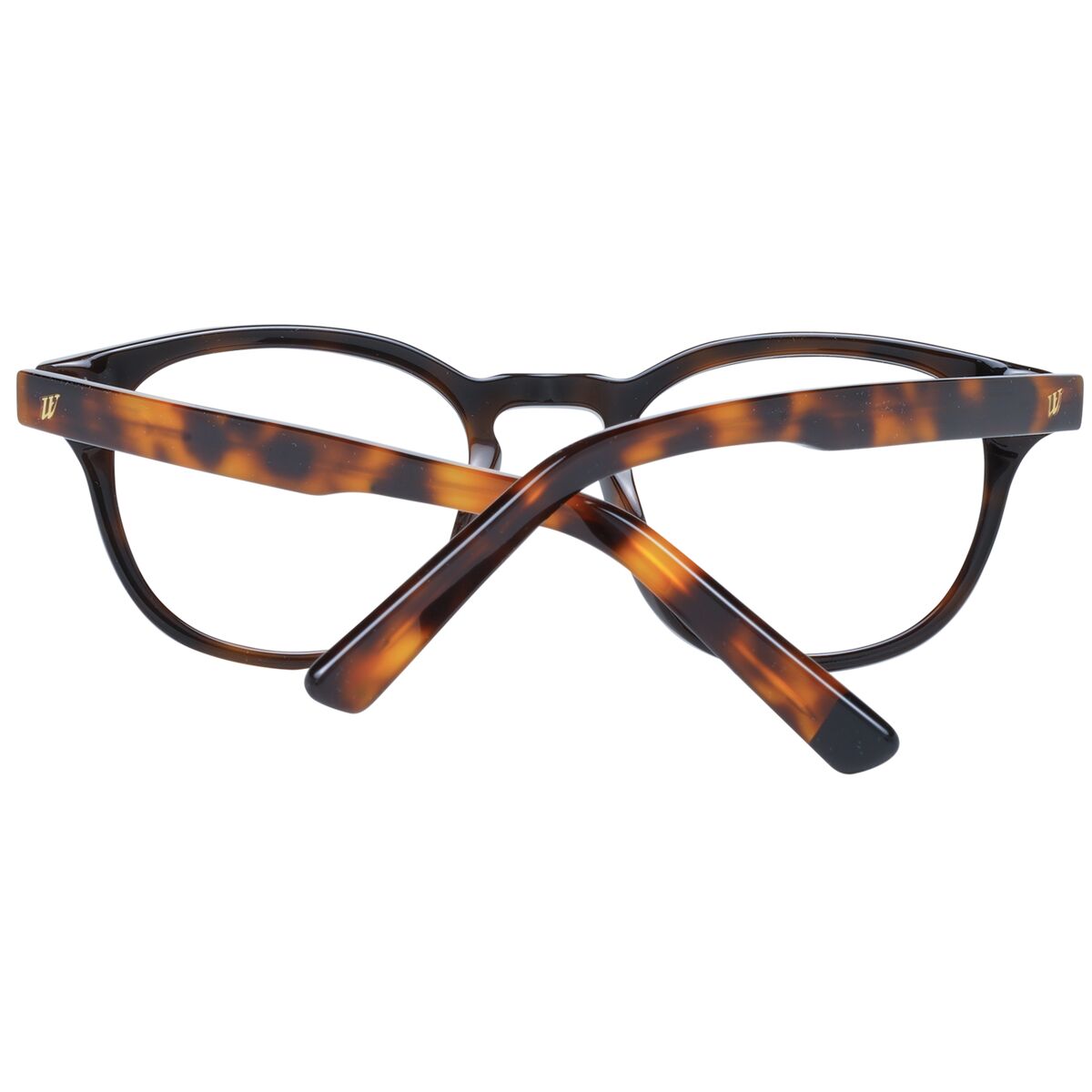 Glasögonbågar Web Eyewear WE5346 49005 - 2
