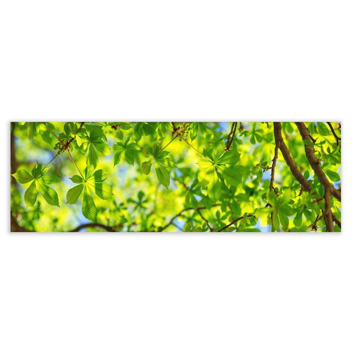 Kanvas Trä Kanvas 180 x 3 x 60 cm