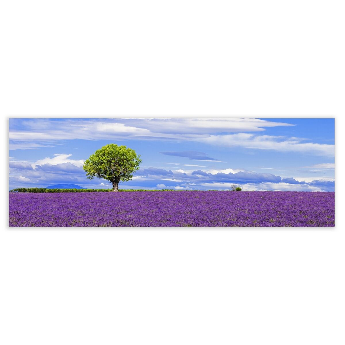 Kanvas Trä Kanvas 180 x 3 x 60 cm