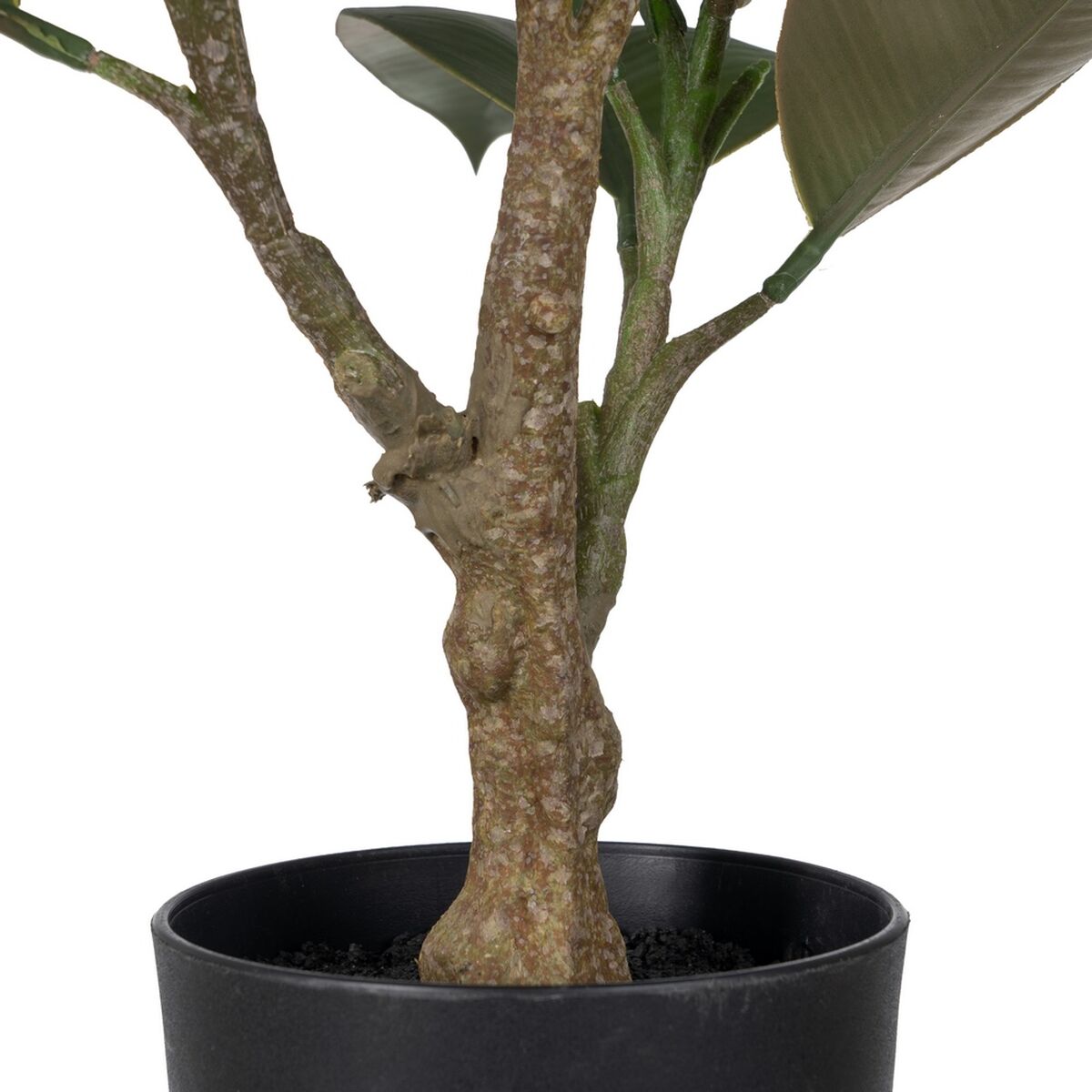 Dekorativ växt Polyetylen Järn PEVA Tölgy 76 cm - 3