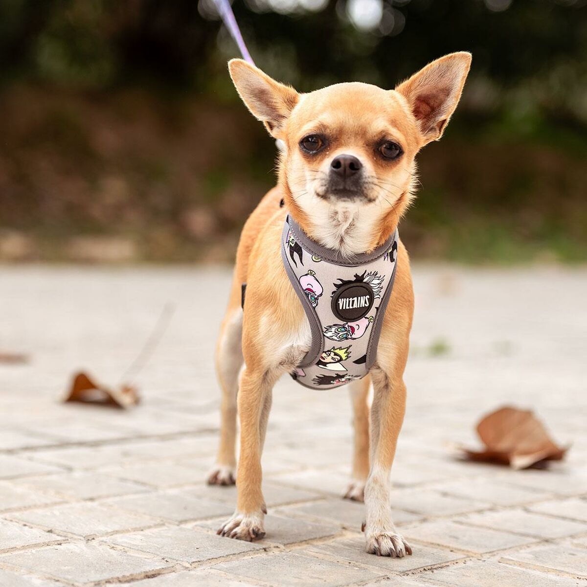 Hundsele Disney Grå - 2