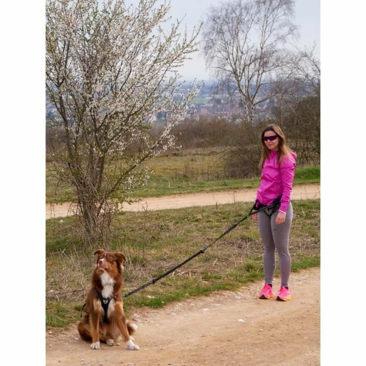 Hundsele SYMBIOZ Svart M - 3