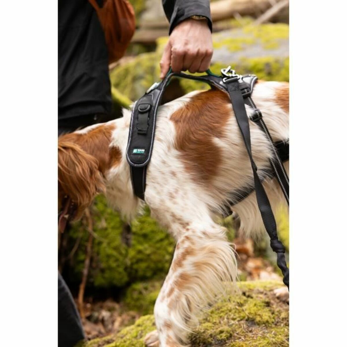 Hundsele SYMBIOZ Svart M - 4