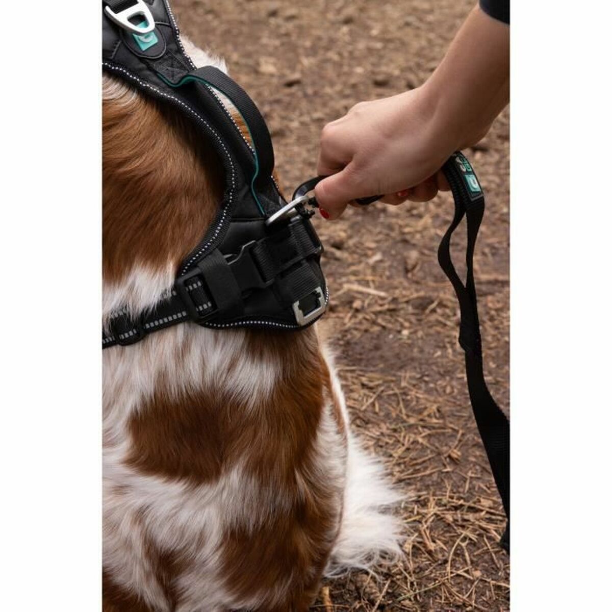 Hundsele SYMBIOZ Svart L - 6