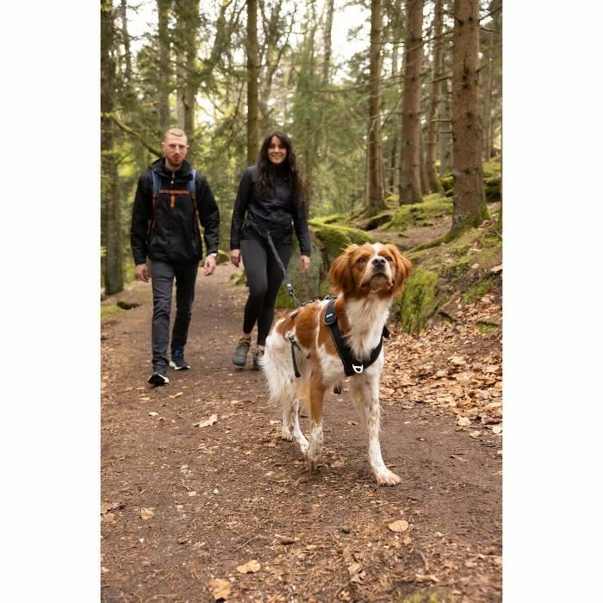 Hundsele SYMBIOZ Svart XL - 3