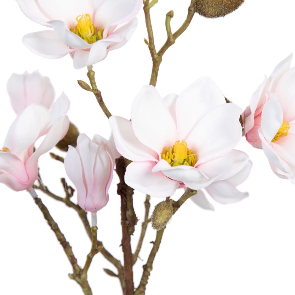 Dekorativ växt Polyester Polyetylen Järn 25 x 25 x 49 cm Magnolia - 2