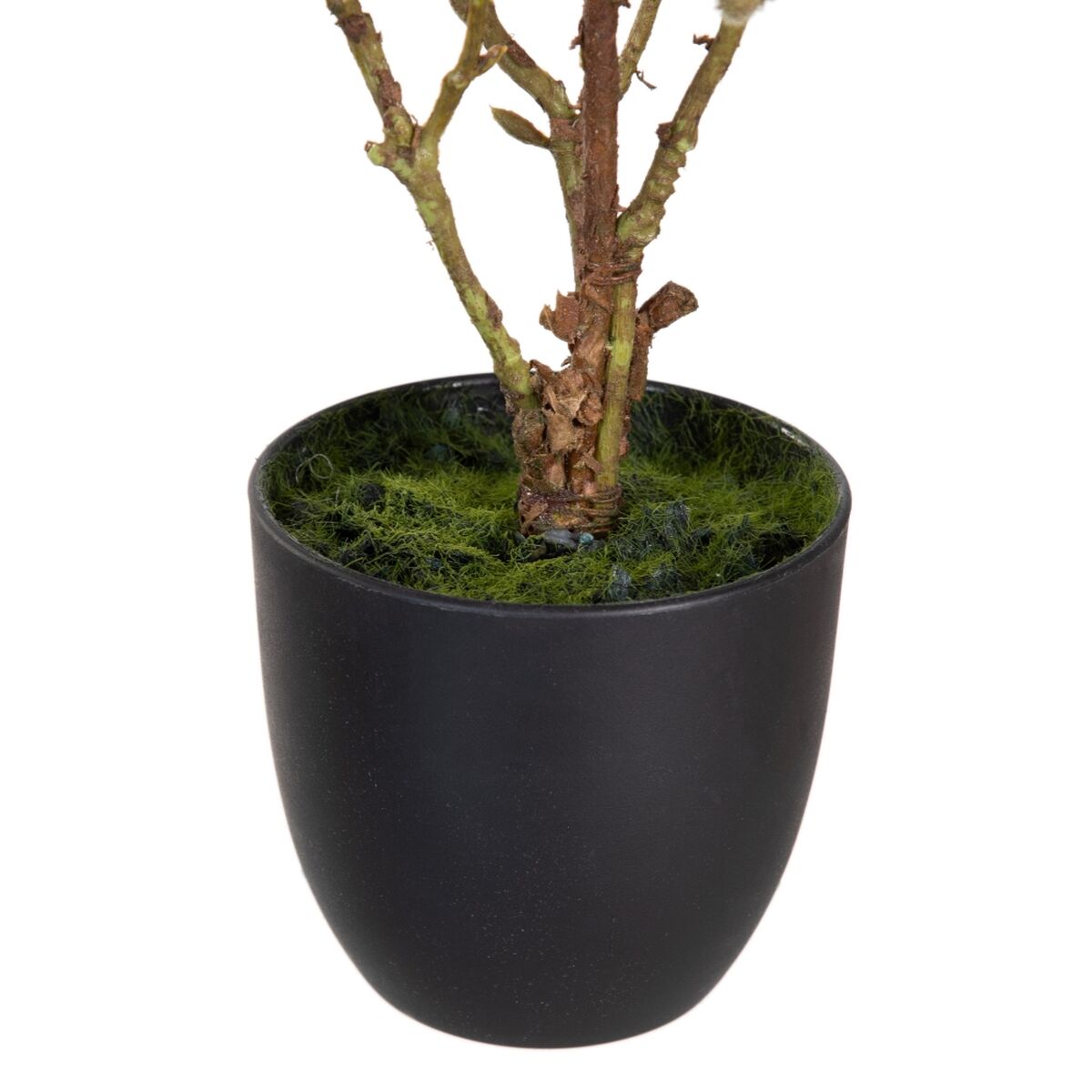 Dekorativ växt Polyester Polyetylen Järn 25 x 25 x 49 cm Magnolia - 3
