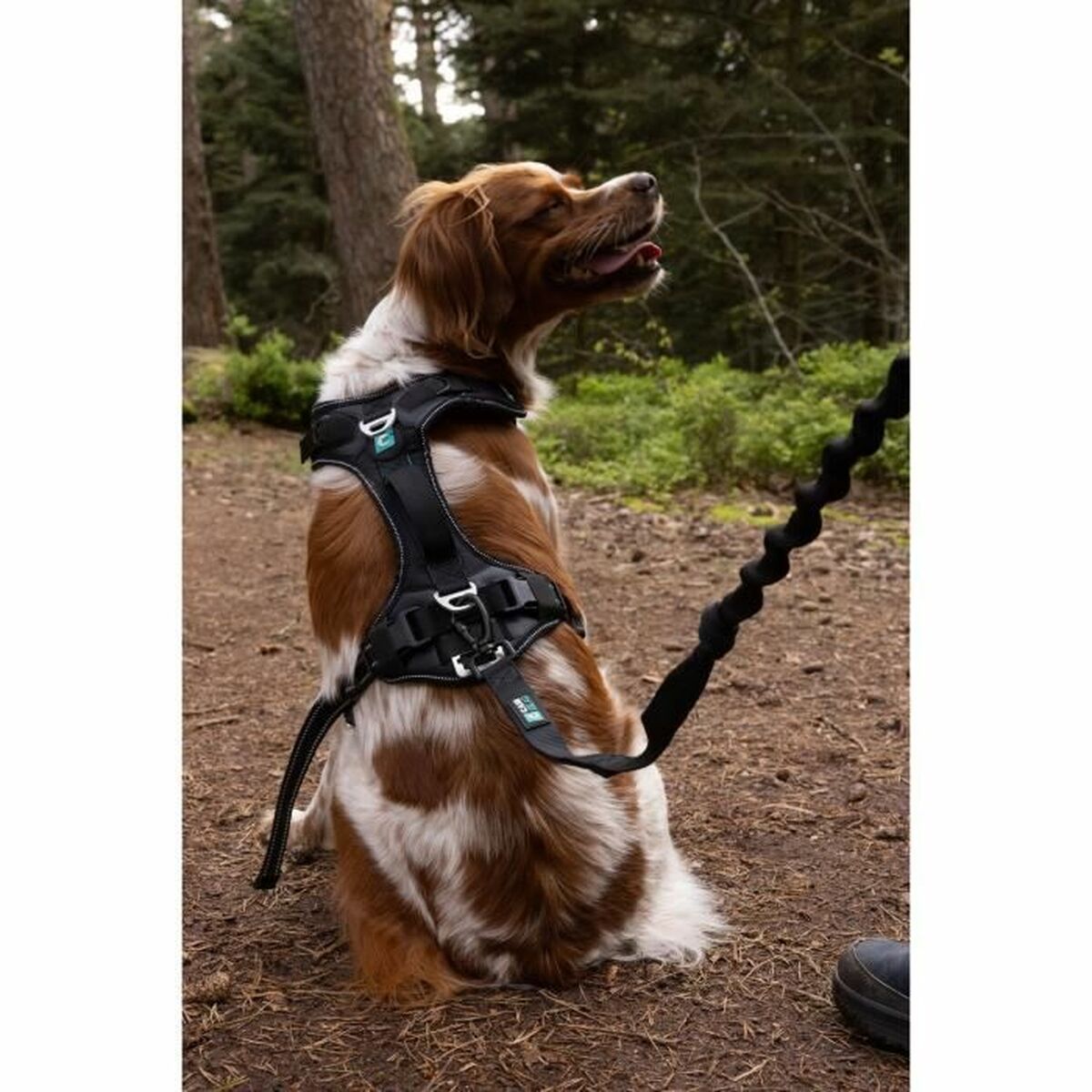 Hundsele SYMBIOZ Svart S - 4