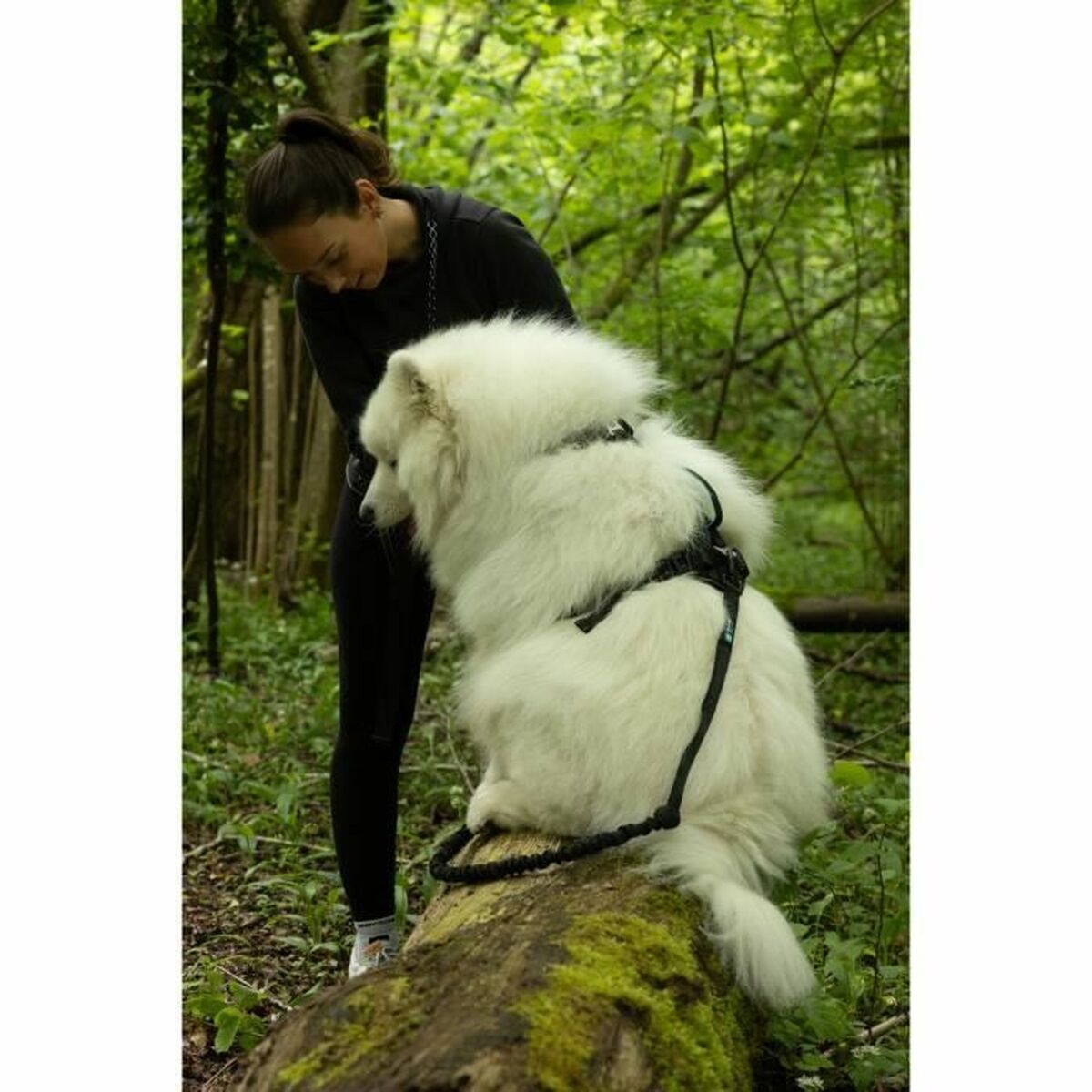 Hundsele SYMBIOZ Svart S - 5