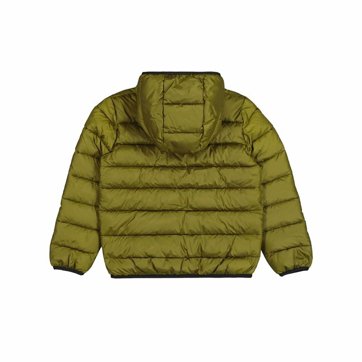 Träningsjacka Herr Champion Hooded Grön - 2