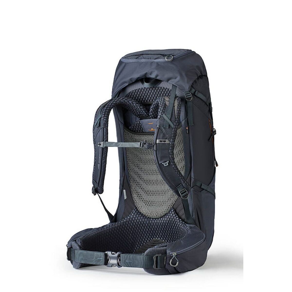 Multipurpose Ryggsäck Gregory Baltoro 65 Mörkblå - 2