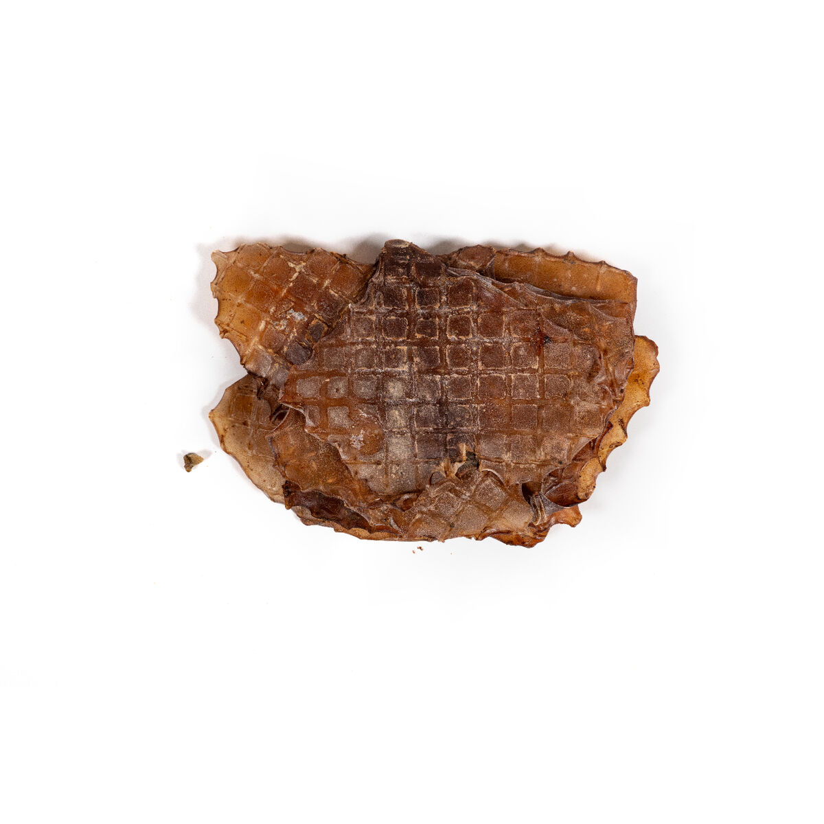 Våt mat Snackys Fisk 600 g - 3