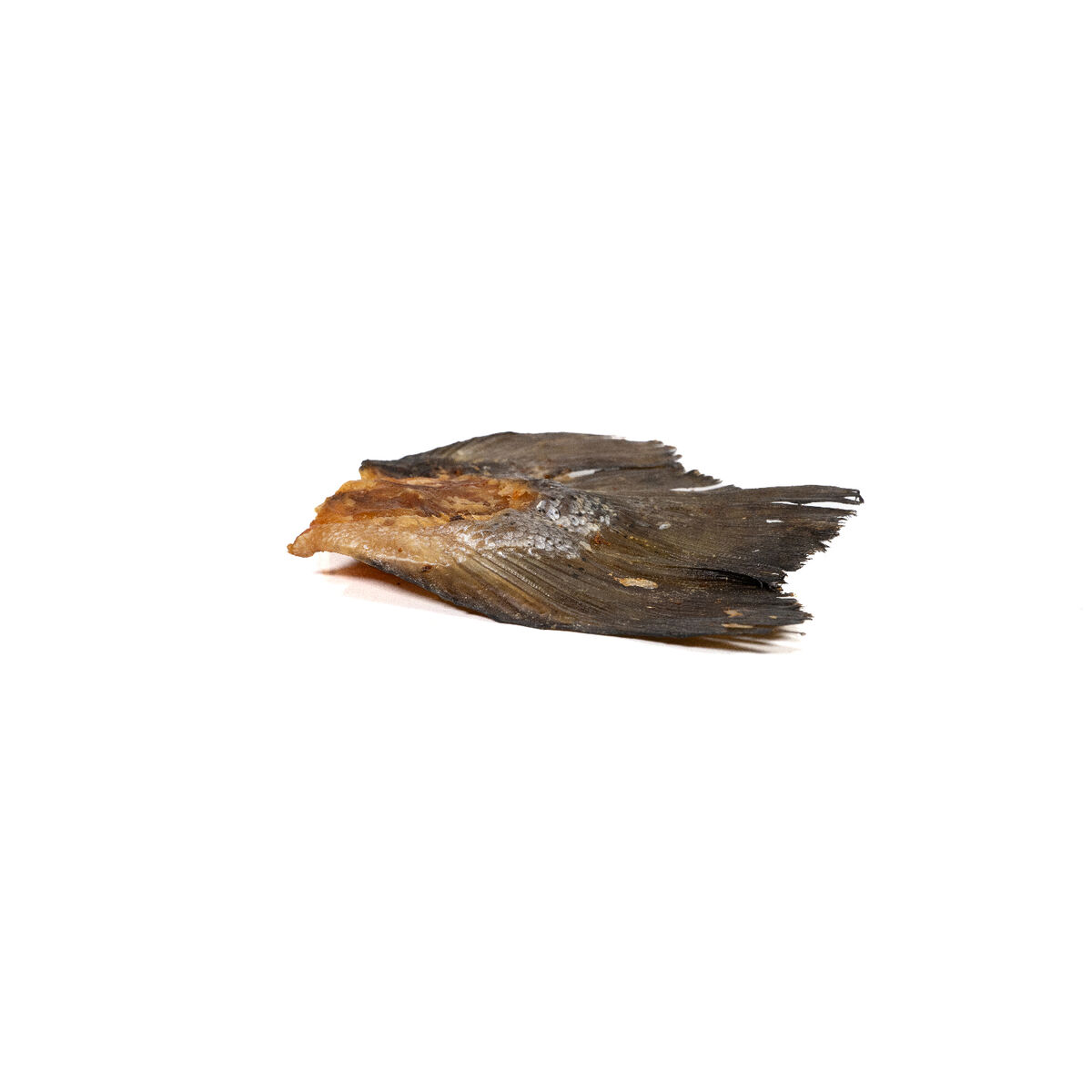 Våt mat Snackys Fisk 85 g - 2