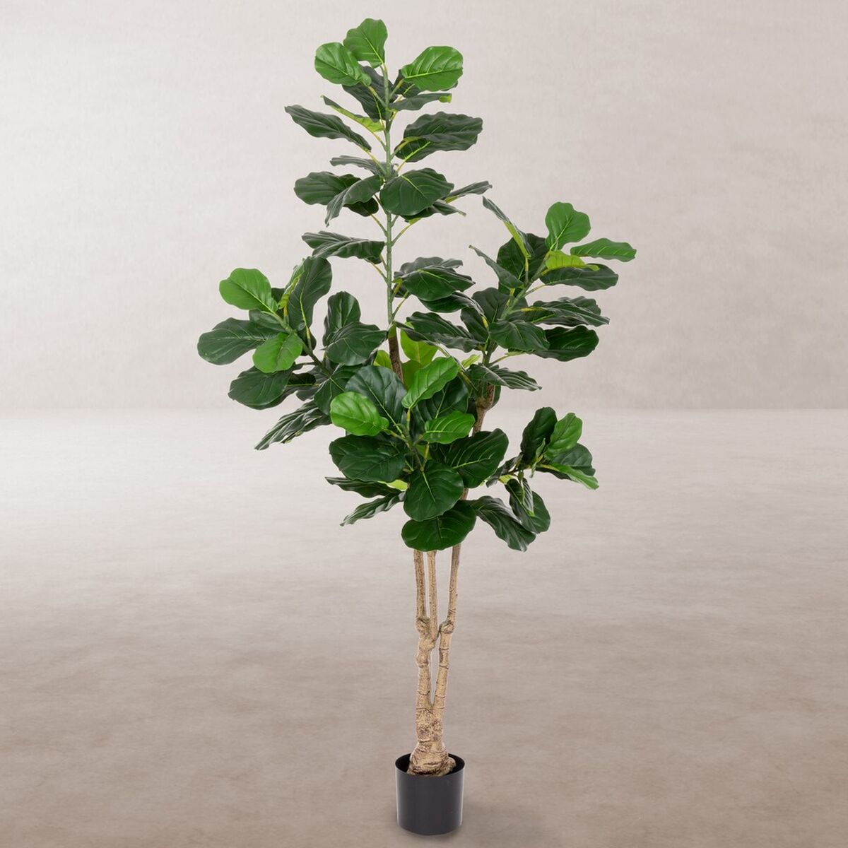 Dekorativ växt Polyuretan Cement Fikon 175 cm - 2