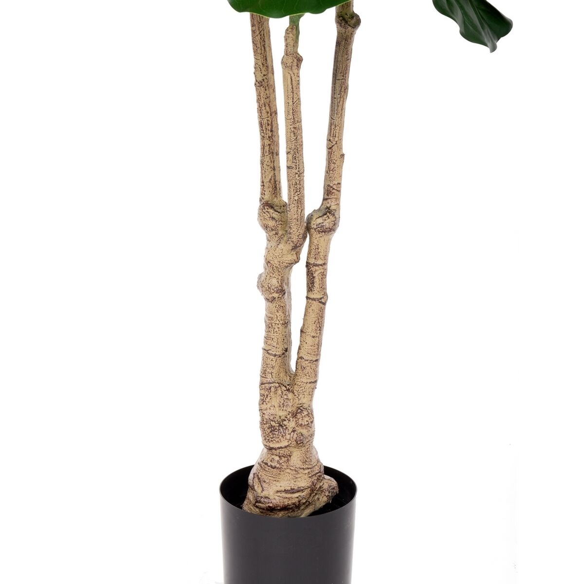 Dekorativ växt Polyuretan Cement Fikon 175 cm - 4