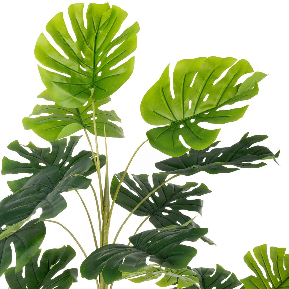 Dekorativ växt Polyuretan Cement Monstera 180 cm - 4