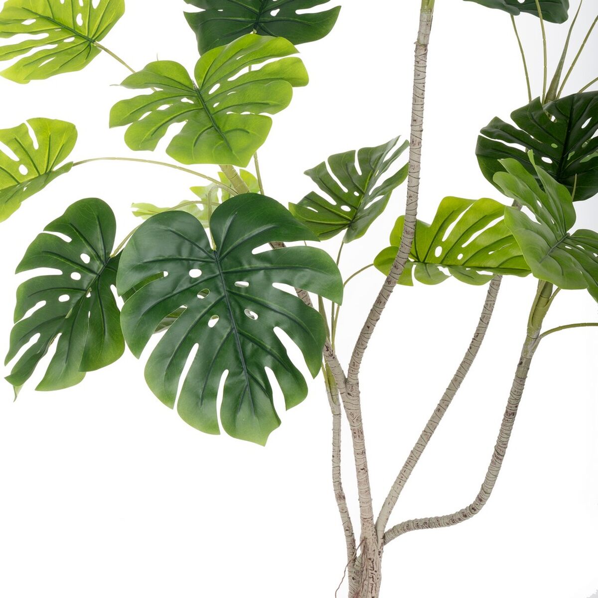 Dekorativ växt Polyuretan Cement Monstera 180 cm - 3
