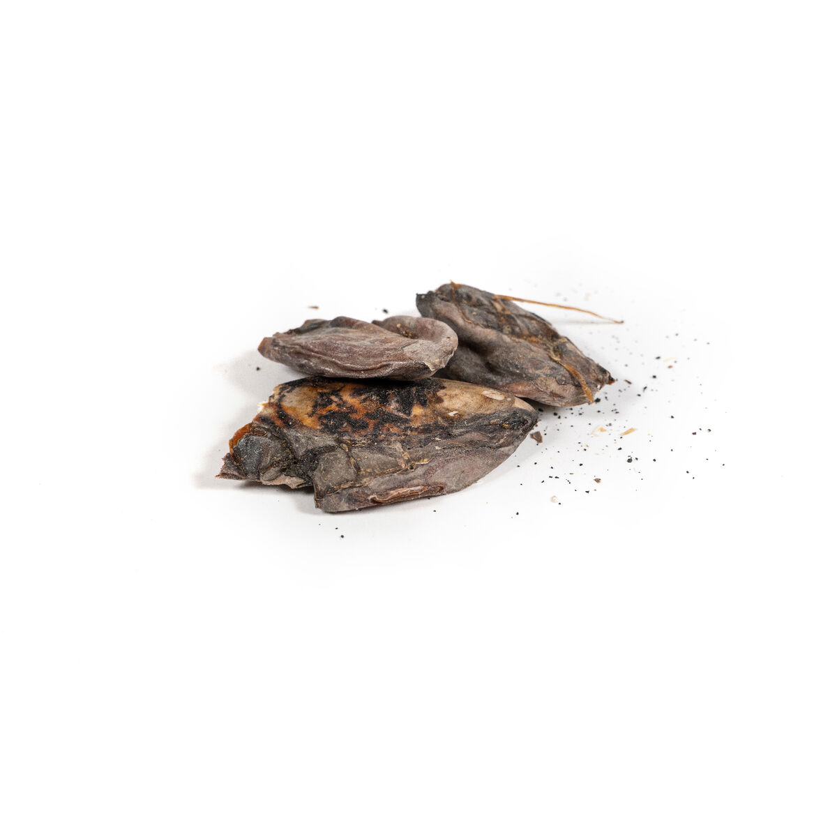 Våt mat Snackys Fisk 600 g - 2