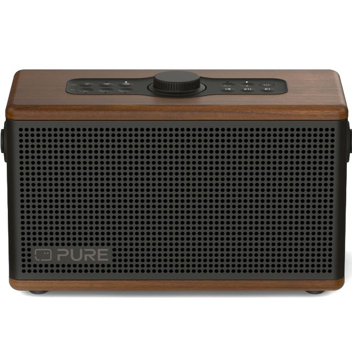 Bärbar Bluetooth Högtalare Pure 254374