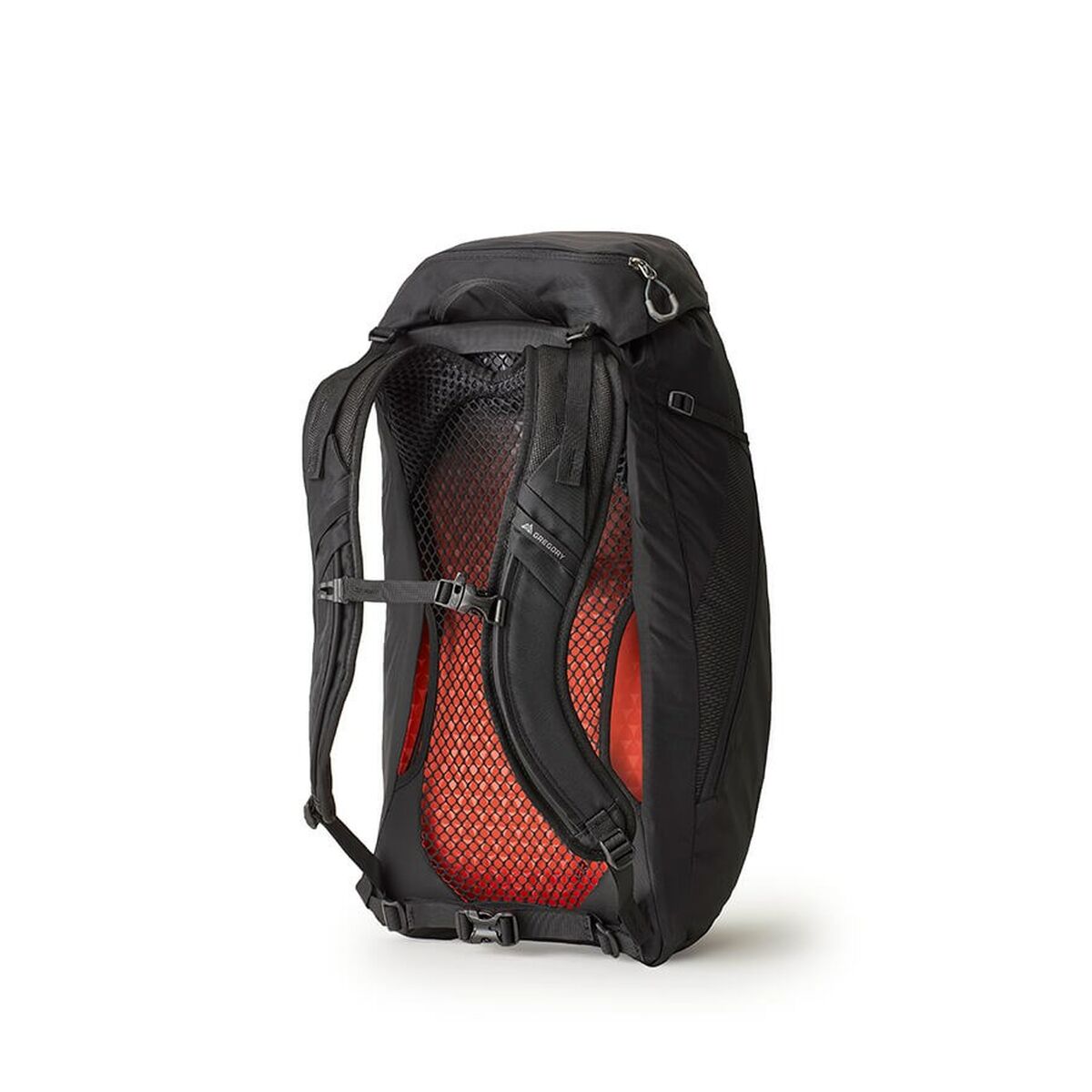 Multipurpose Ryggsäck Gregory  ARRIO 24 Svart - 2